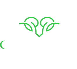 Qurban.az